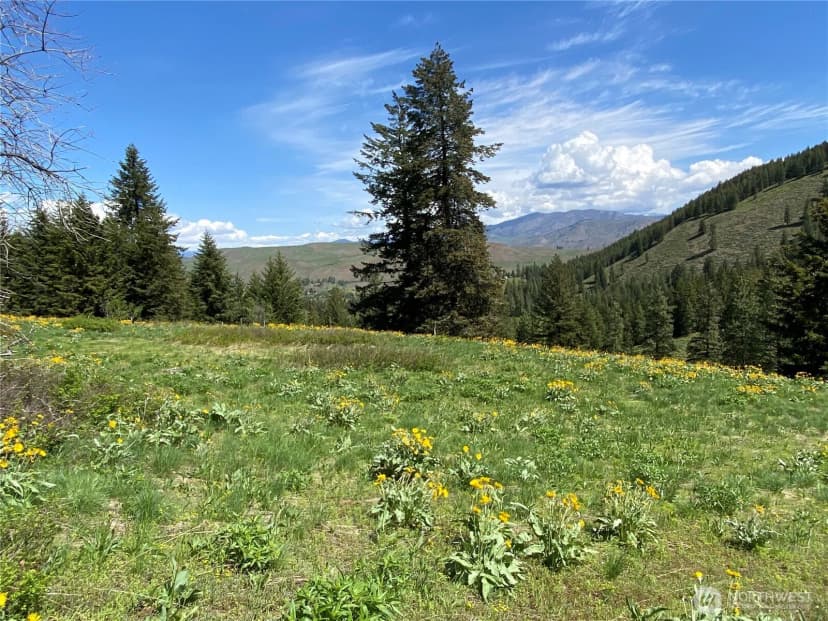 Property photo for 102 Elbow Canyon Road, Twisp photo 5