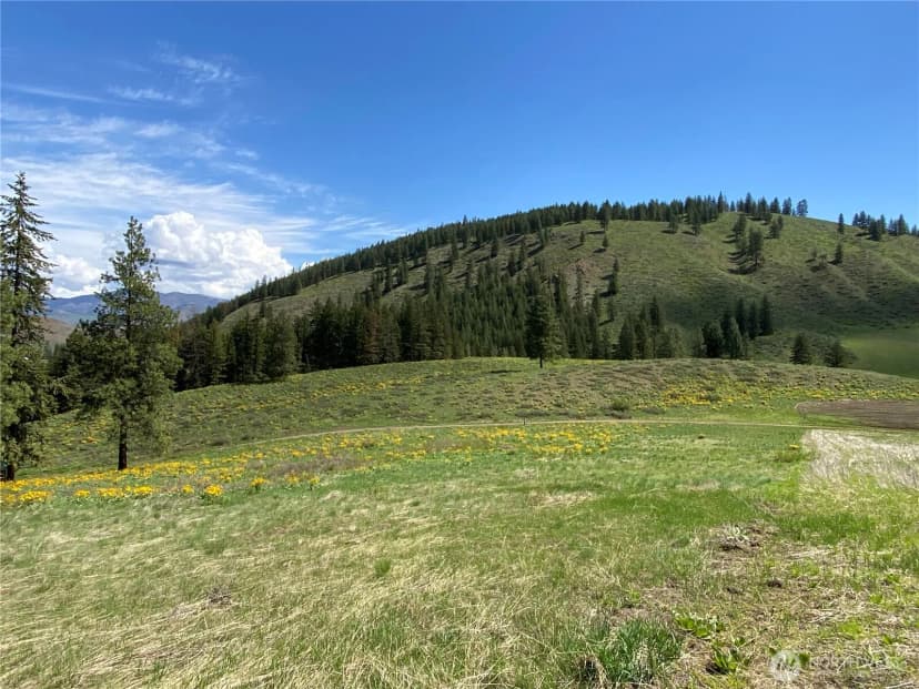 Property photo for 102 Elbow Canyon Road, Twisp photo 20