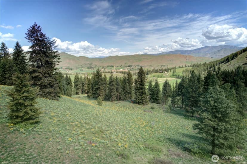 Property photo for 102 Elbow Canyon Road, Twisp photo 26