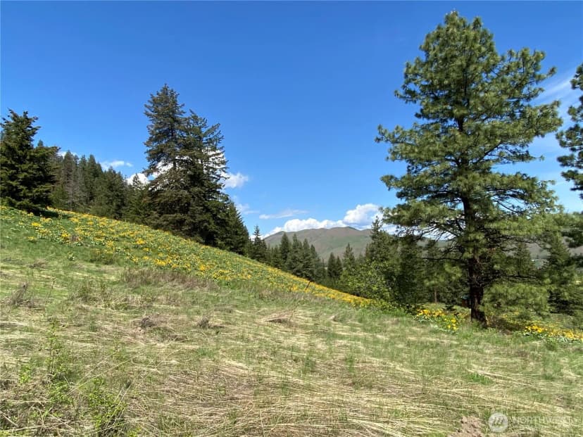 Property photo for 102 Elbow Canyon Road, Twisp photo 19