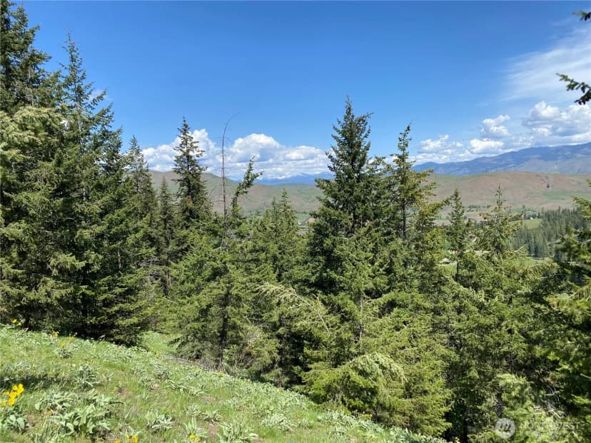 Property photo for 102 Elbow Canyon Road, Twisp photo 11