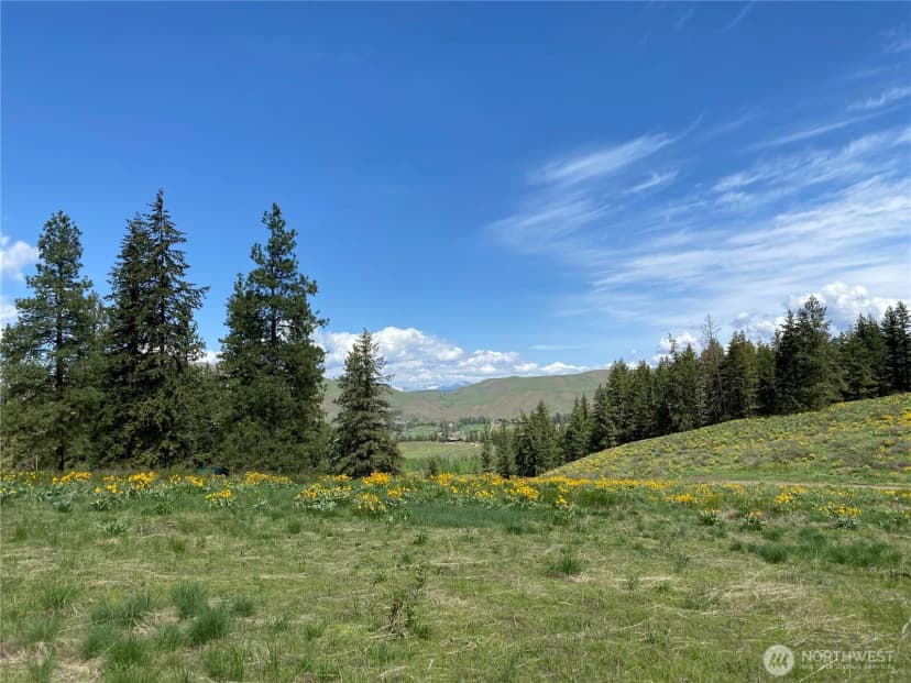 Property photo for 102 Elbow Canyon Road, Twisp