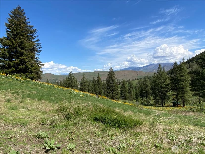 Property photo for 102 Elbow Canyon Road, Twisp photo 6