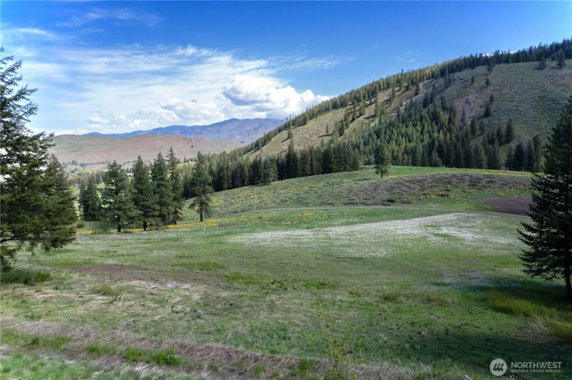 Property photo for 102 Elbow Canyon Road, Twisp photo 31
