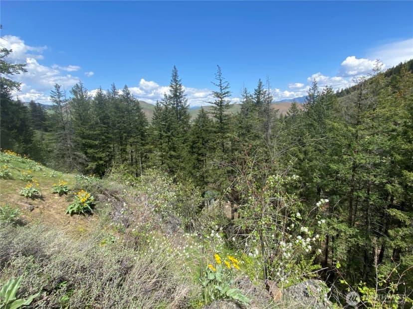 Property photo for 102 Elbow Canyon Road, Twisp photo 13