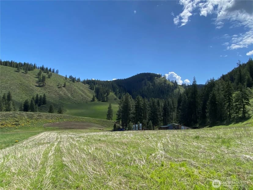 Property photo for 102 Elbow Canyon Road, Twisp photo 18