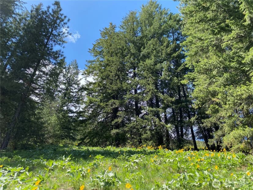Property photo for 102 Elbow Canyon Road, Twisp photo 9