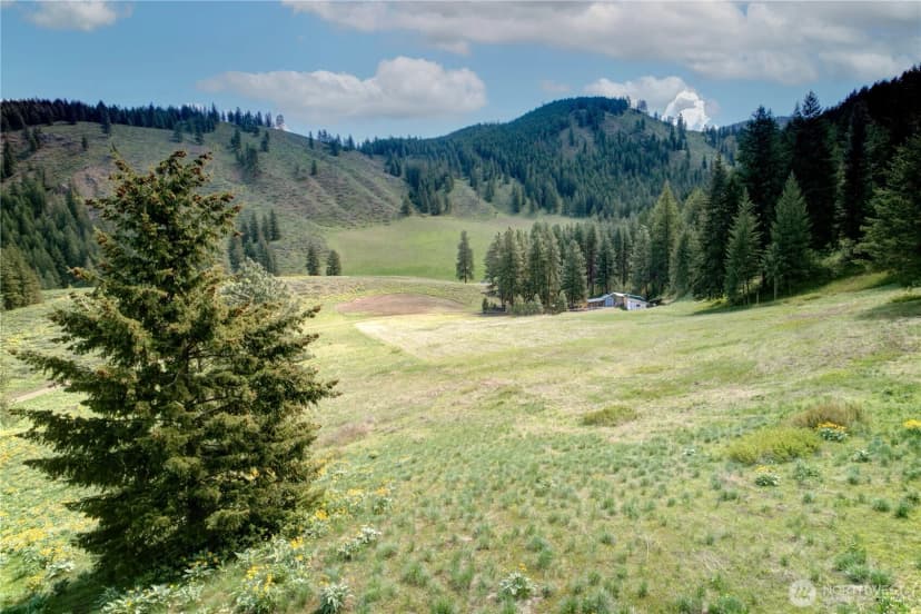 Property photo for 102 Elbow Canyon Road, Twisp photo 25