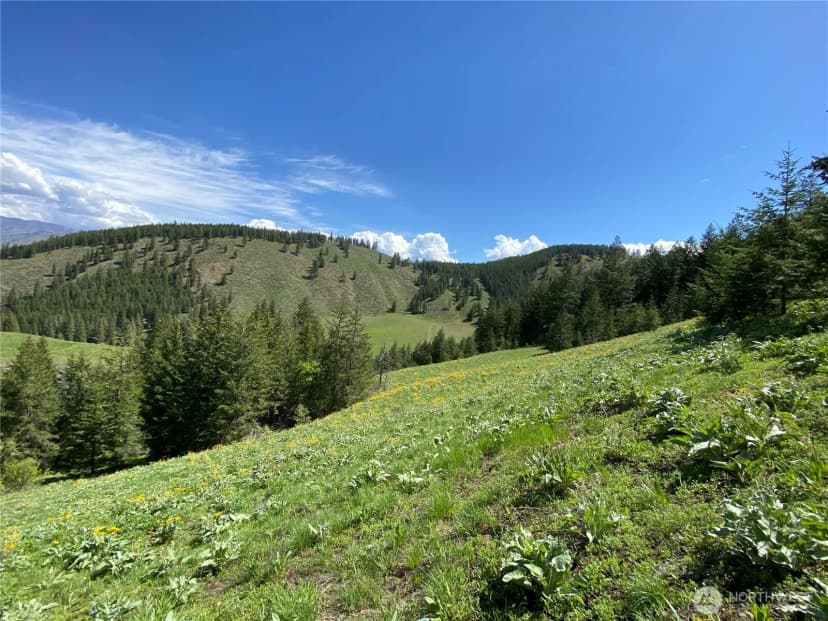 Property photo for 102 Elbow Canyon Road, Twisp photo 12