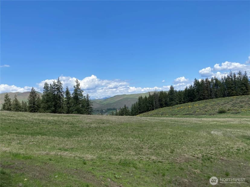 Property photo for 102 Elbow Canyon Road, Twisp photo 14