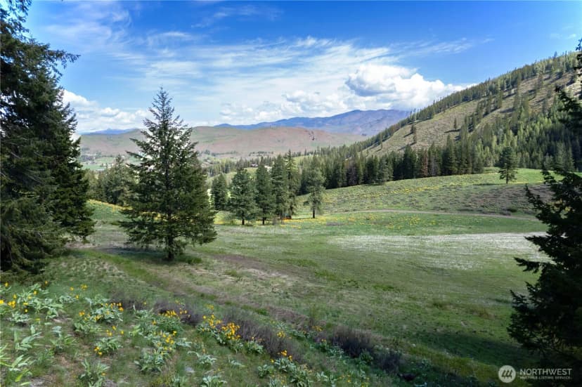 Property photo for 102 Elbow Canyon Road, Twisp photo 3