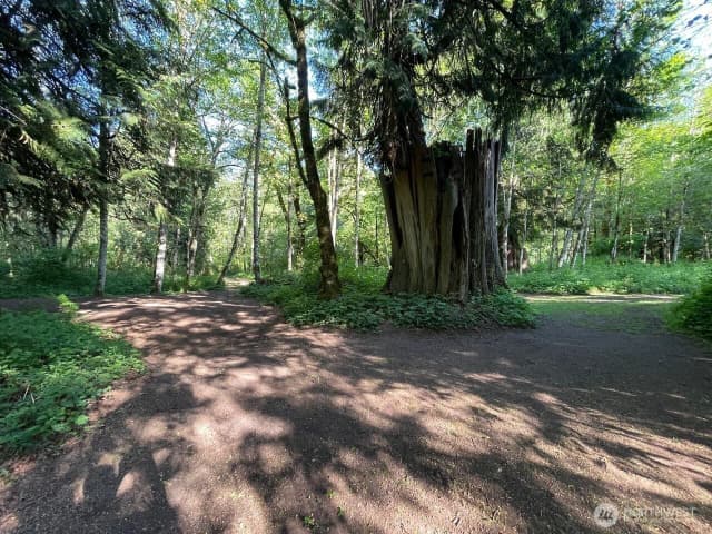 Property photo for 15901 108th Street E, Puyallup photo 3