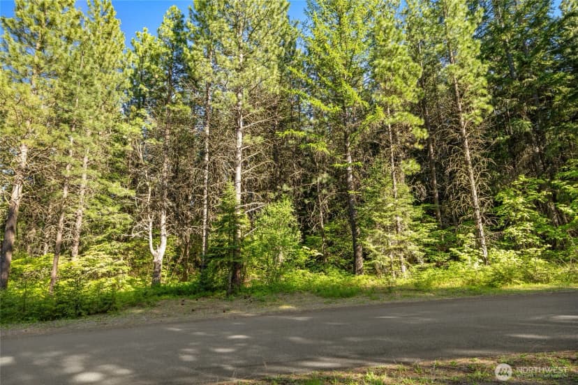 Property photo for 940 Iron Monarch Loop, Cle Elum photo 23