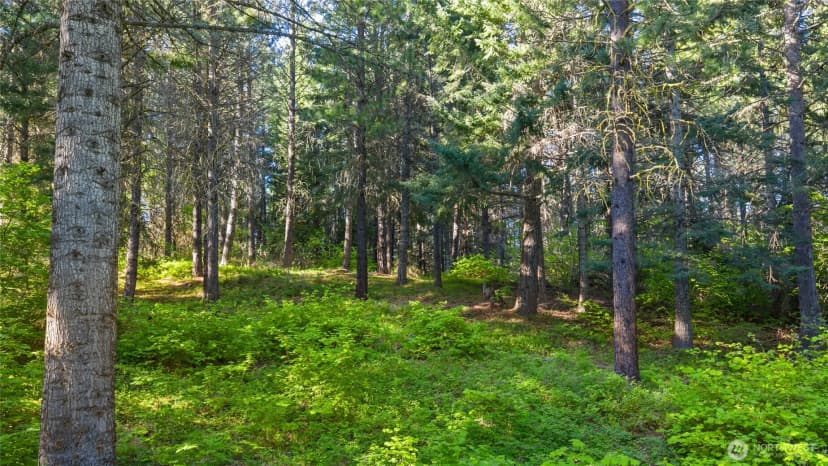 Property photo for 940 Iron Monarch Loop, Cle Elum photo 9