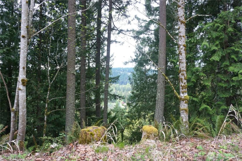 Property photo for 18107 213th Avenue Ct E, Orting photo 12