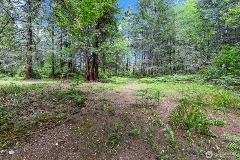 Property photo for 16405 84th Street Nw, Lakebay photo 8