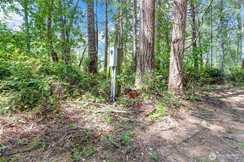 Property photo for 16405 84th Street Nw, Lakebay photo 5