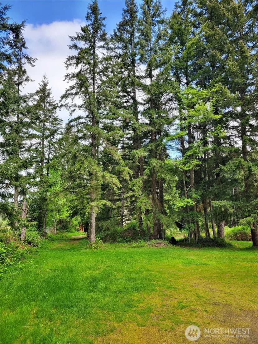 Property photo for 213 Sommerville Road, Chehalis photo 23