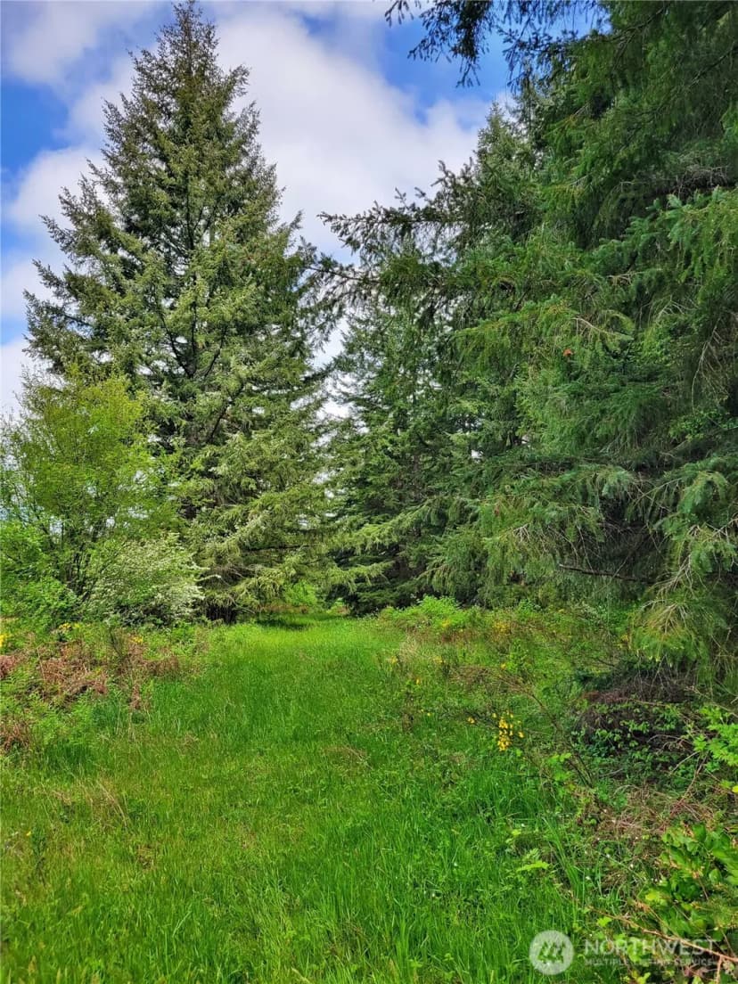 Property photo for 213 Sommerville Road, Chehalis photo 26