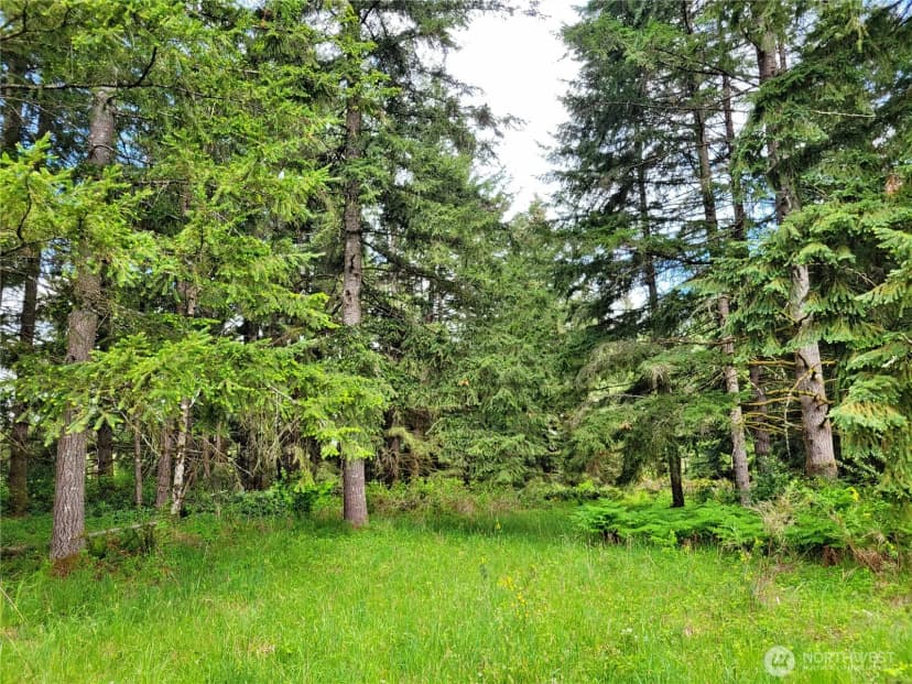 Property photo for 213 Sommerville Road, Chehalis photo 28