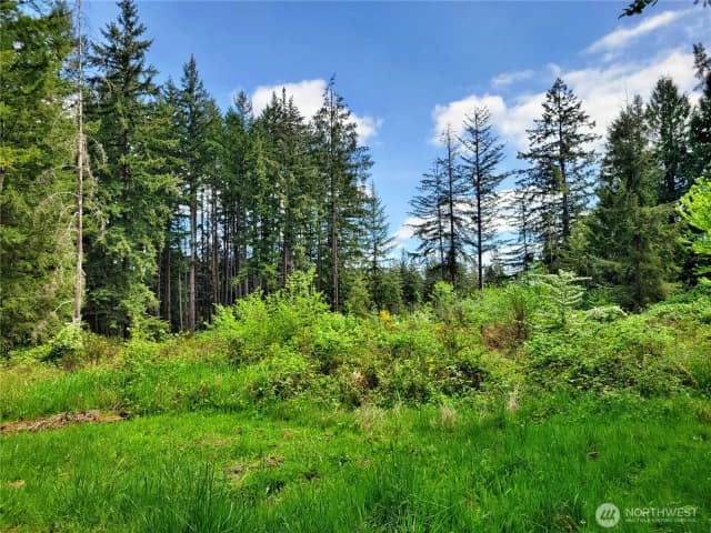 Property photo for 213 Sommerville Road, Chehalis photo 2