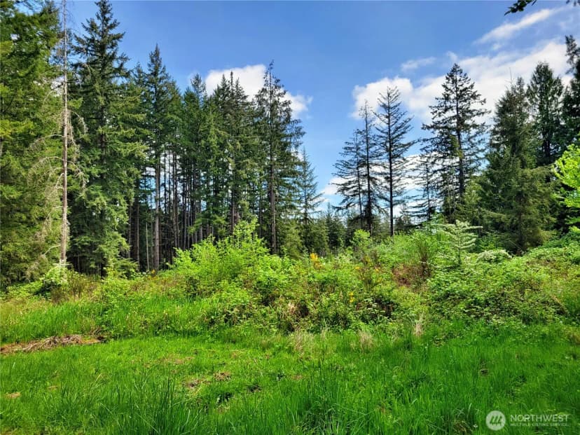 Property photo for 213 Sommerville Road, Chehalis photo 2