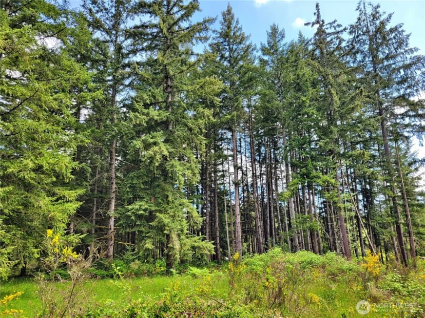 Property photo for 213 Sommerville Road, Chehalis photo 27