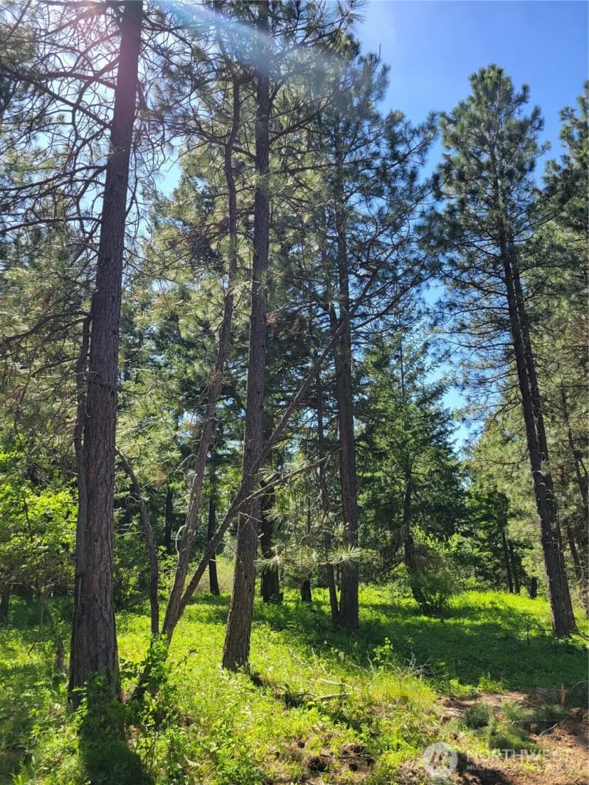 Property photo for 27 Summit View At Wallace Ranch, Cle Elum photo 9