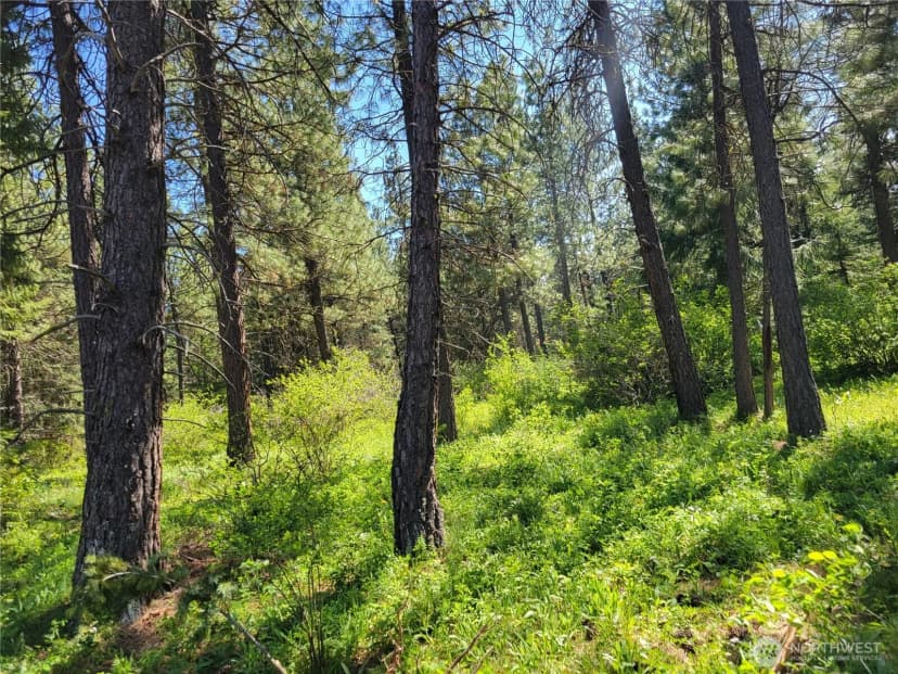 Property photo for 27 Summit View At Wallace Ranch, Cle Elum photo 8