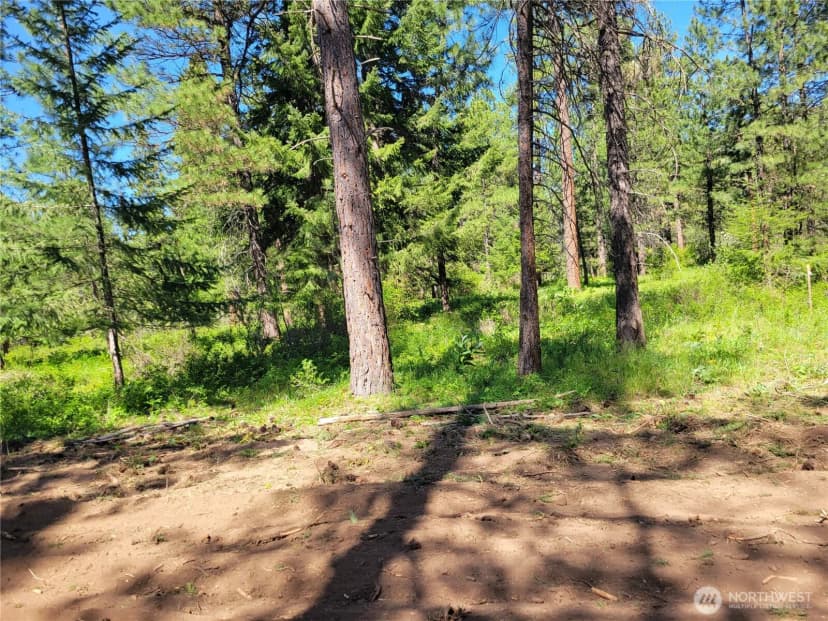 Property photo for 27 Summit View At Wallace Ranch, Cle Elum photo 10