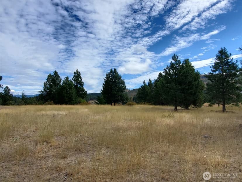 Property photo for 10 Summit View At Wallace Ranch, Cle Elum photo 17