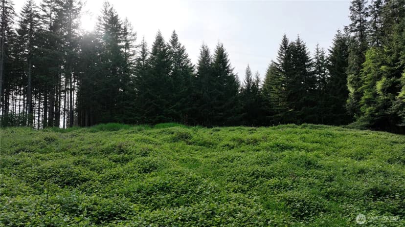 Property photo for 0 Ne Finalburg Road, La Center photo 20