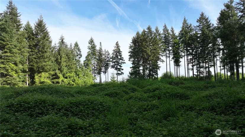 Property photo for 0 Ne Finalburg Road, La Center photo 9