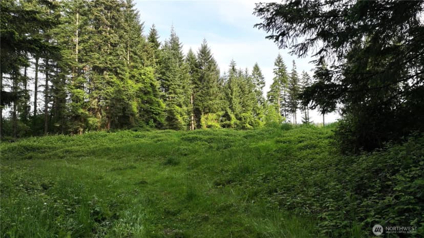 Property photo for 0 Ne Finalburg Road, La Center photo 23