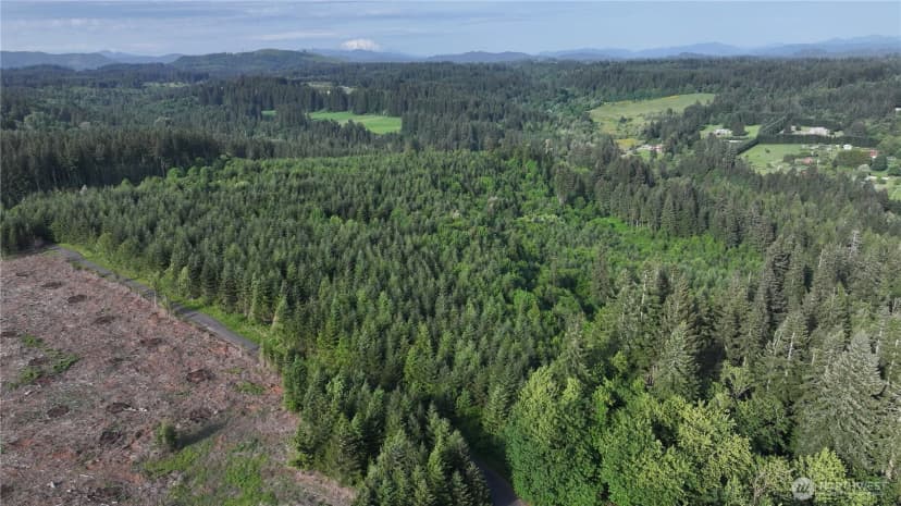 Property photo for 0 Ne Finalburg Road, La Center photo 10