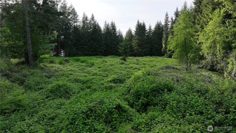 Property photo for 0 Ne Finalburg Road, La Center photo 17