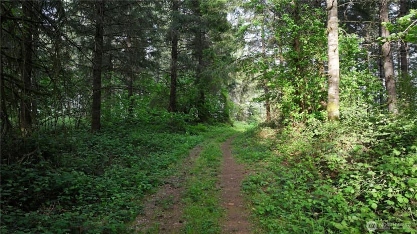 Property photo for 0 Ne Finalburg Road, La Center photo 24