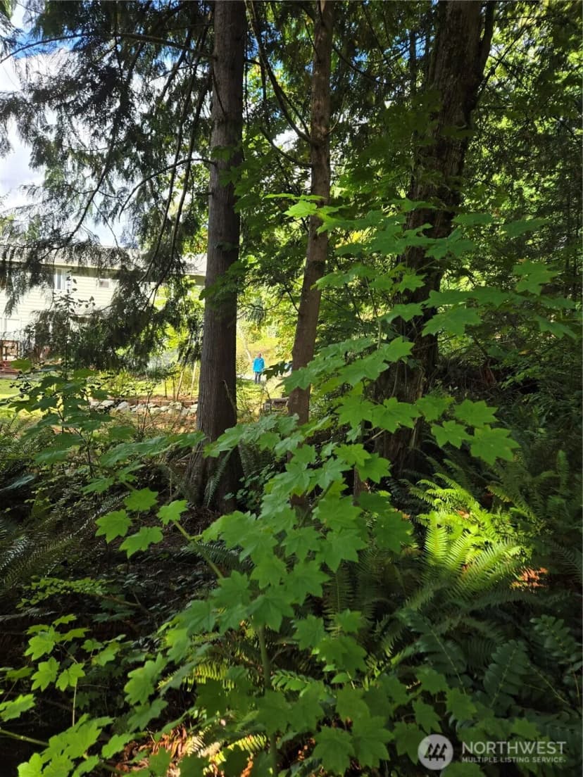 Property photo for 0 Lot Bb Se 159th Street, North Bend photo 7
