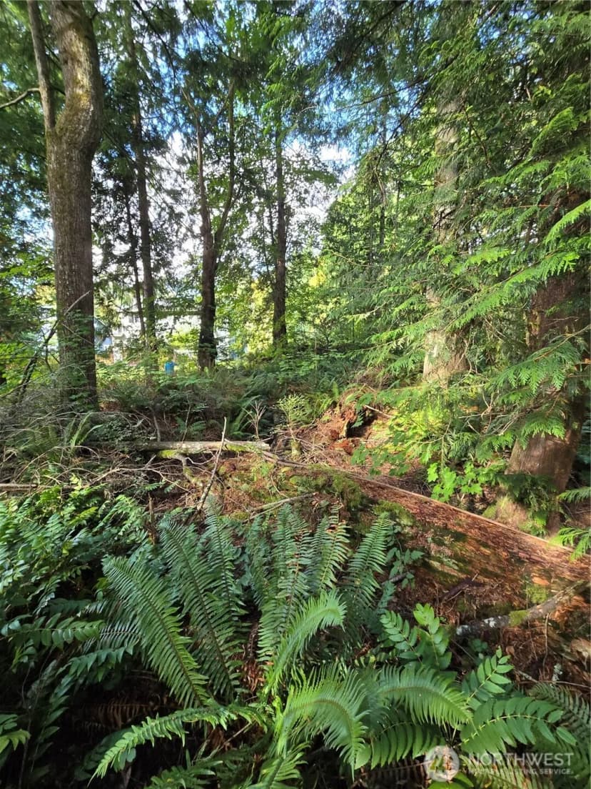 Property photo for 0 Lot Bb Se 159th Street, North Bend photo 8