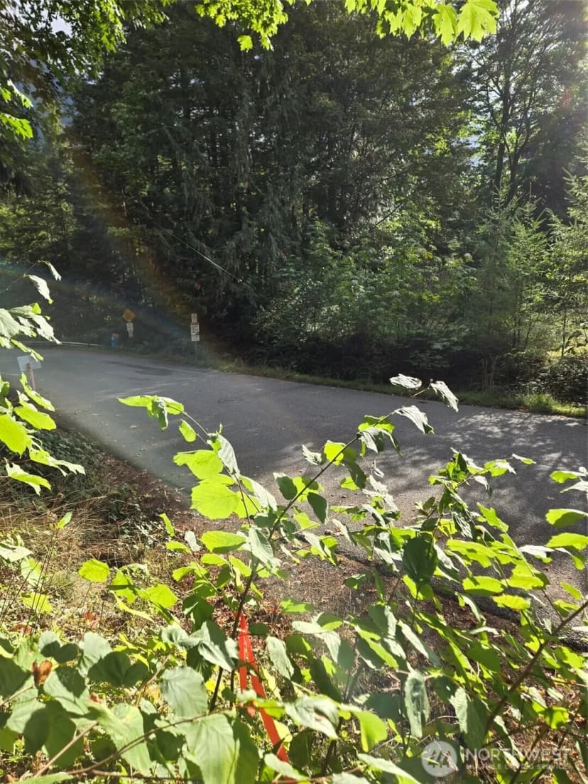 Property photo for 0 Lot Bb Se 159th Street, North Bend photo 10