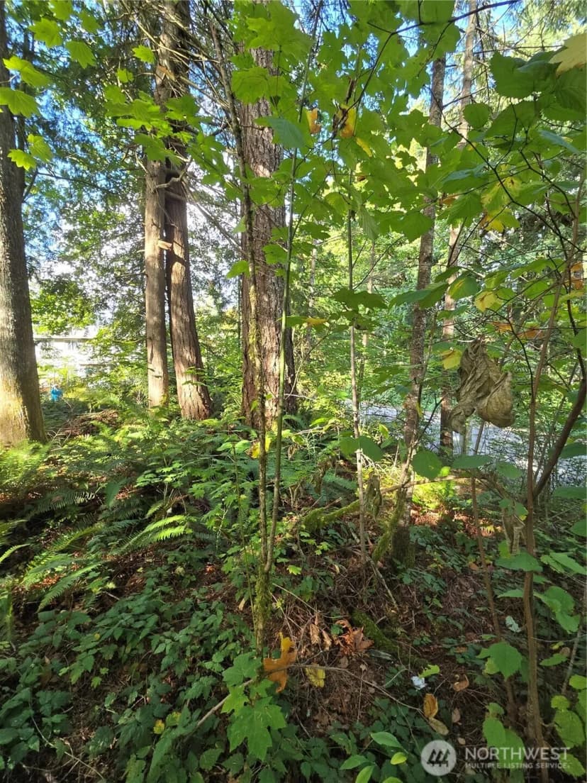 Property photo for 0 Lot Bb Se 159th Street, North Bend photo 6