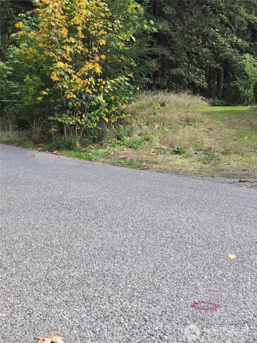 Property photo for 0 Lot Bb Se 159th Street, North Bend photo 4