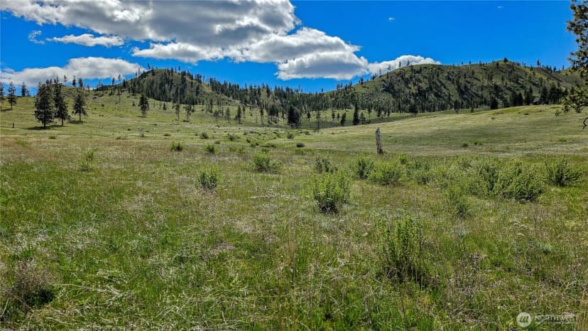 Property photo for 1 Washington Creek Road, Chelan photo 19