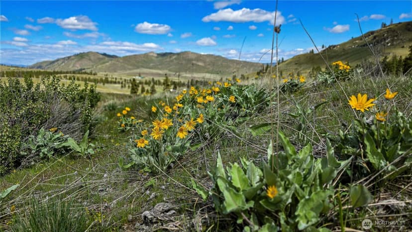 Property photo for 1 Washington Creek Road, Chelan photo 7