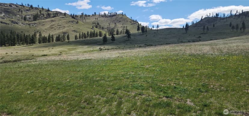 Property photo for 1 Washington Creek Road, Chelan photo 22