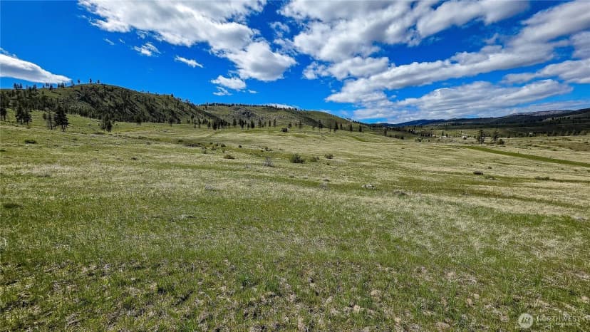 Property photo for 1 Washington Creek Road, Chelan photo 15