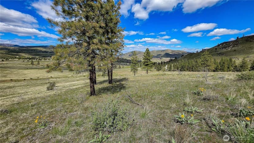 Property photo for 1 Washington Creek Road, Chelan photo 12