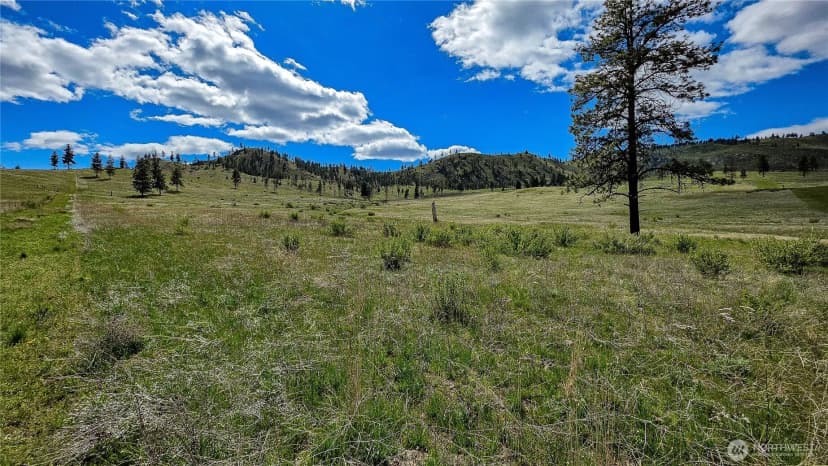 Property photo for 1 Washington Creek Road, Chelan photo 17