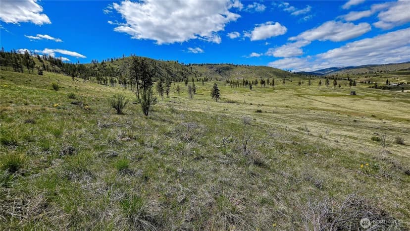 Property photo for 1 Washington Creek Road, Chelan photo 11
