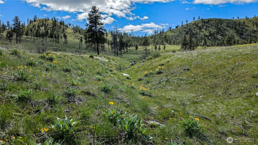 Property photo for 1 Washington Creek Road, Chelan photo 6